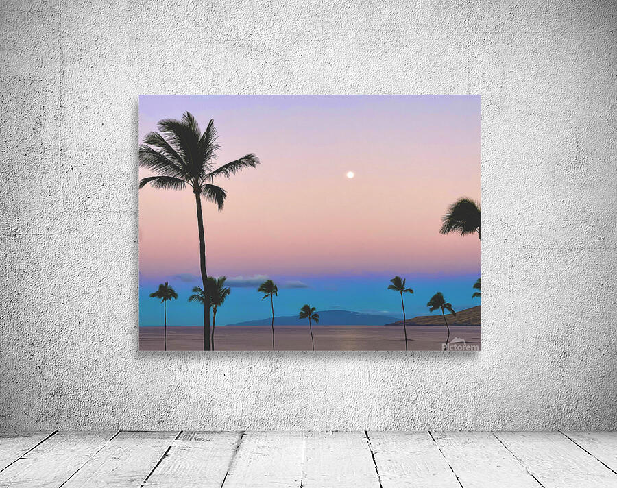 Pink Lani Wall Preview
