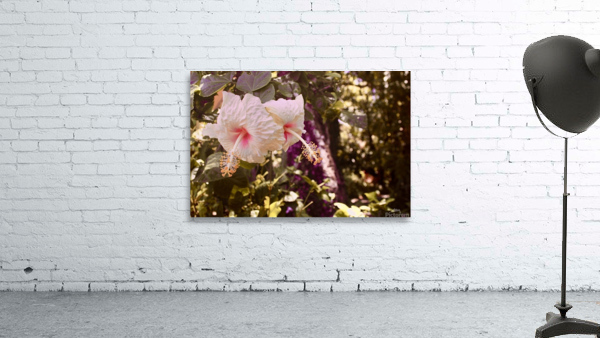 My Flower Wall Preview