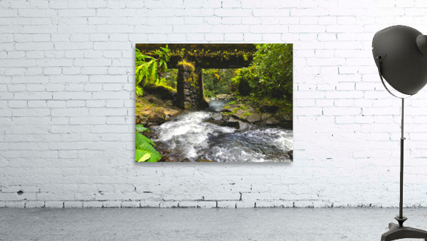 Tiki Times Wall Preview