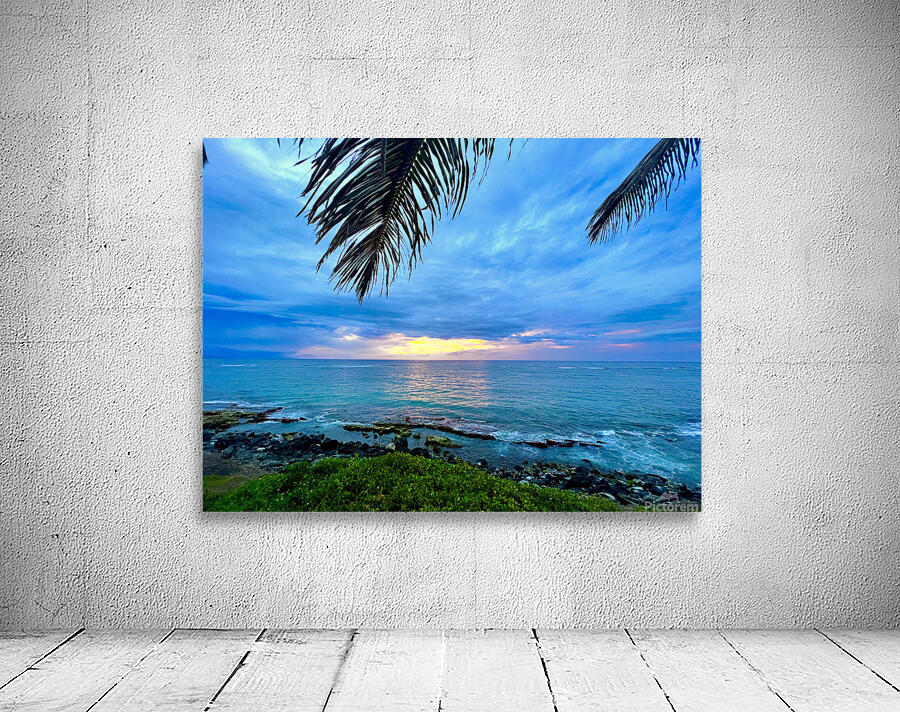 Maui Nui Wall Preview