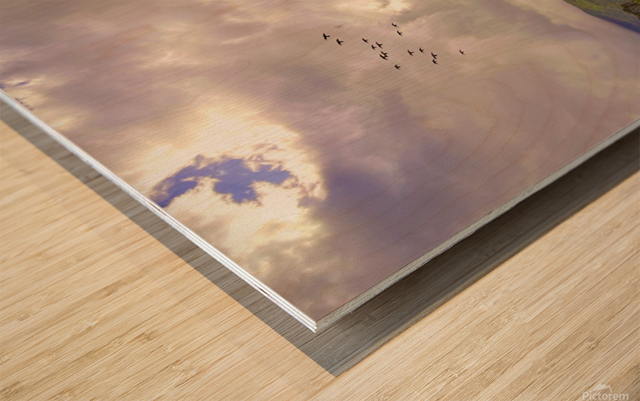 A Valley Below Wood print