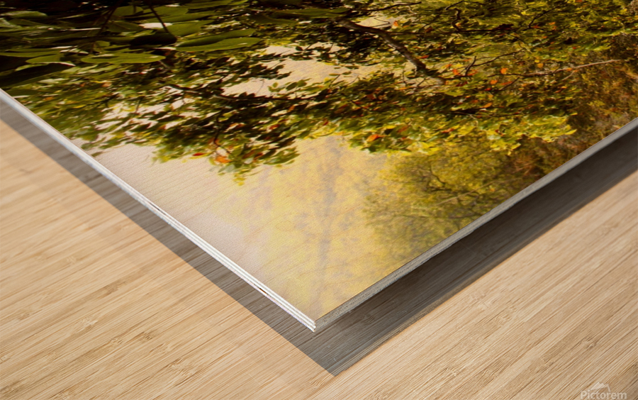Jurassic Jungle Wood print