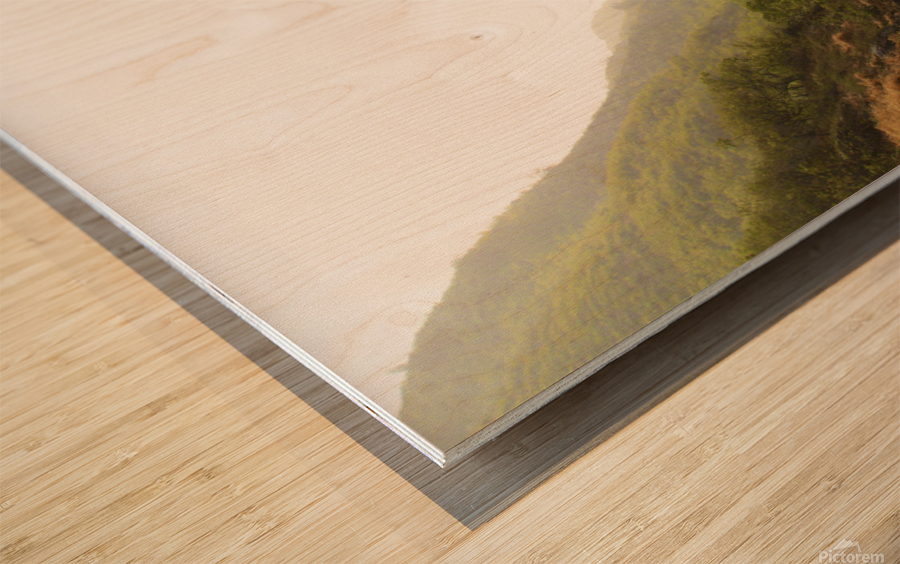 Land Before Time Wood print