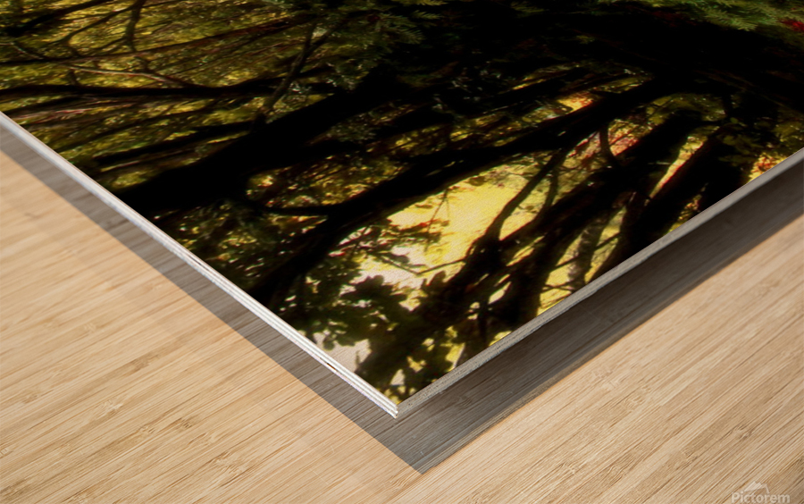 Nani Stream Wood print