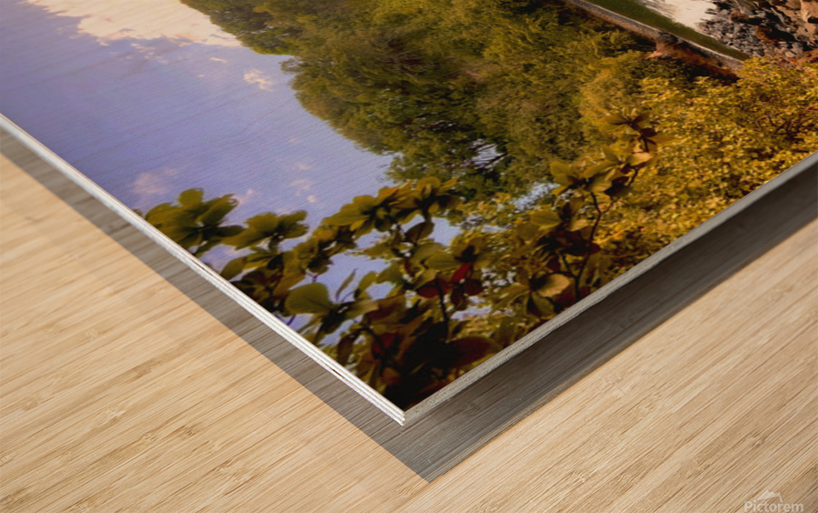 Kahiko Times Wood print