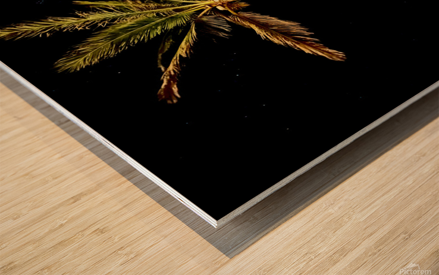 West Palms Wood print