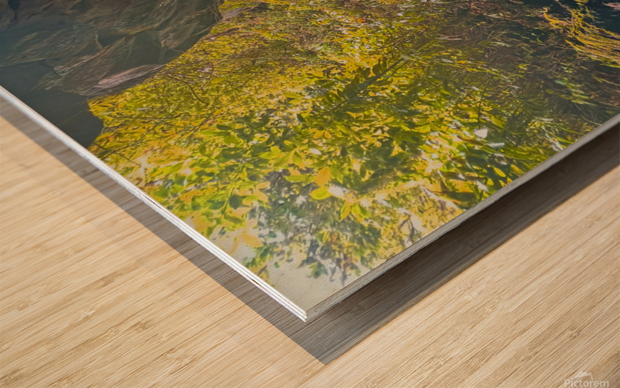 Hollow Wood print