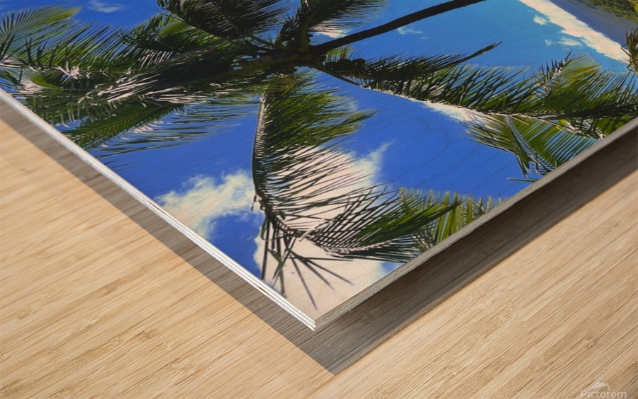 Sun Palm Wood print