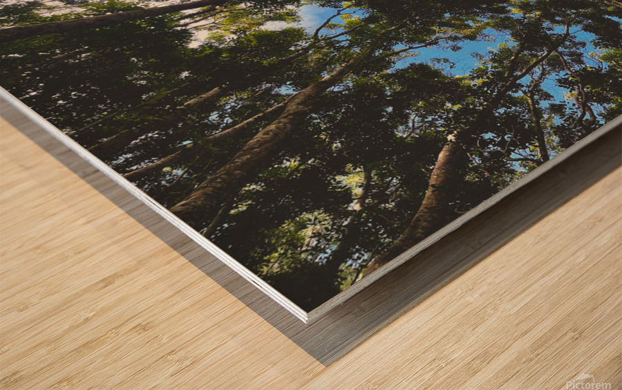 Mountain Messengers  Wood print