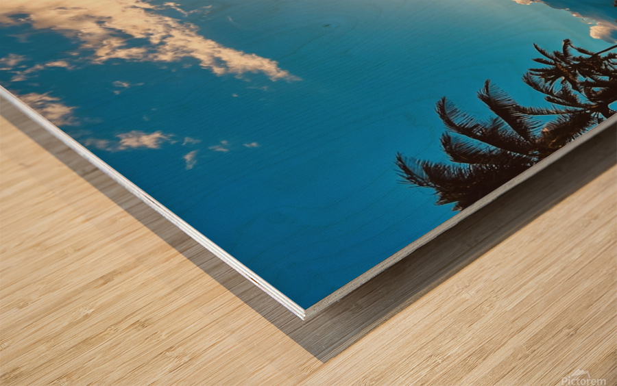 Dreamlight Wood print