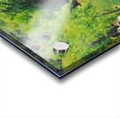 Pond Acrylic print