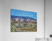 Jerome-1 Acrylic Print