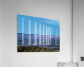 Jerome Acrylic Print