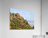 Jerome-5 Acrylic Print