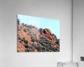 Jerome-6 Acrylic Print