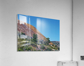 Jerome-4 Acrylic Print