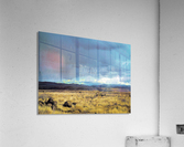 Calm Before the Storm Acrylic Print
