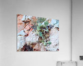 Cactus Acrylic Print