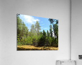 Deep In Acrylic Print