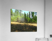 Deeper In Acrylic Print