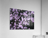 Flower Garden Acrylic Print