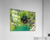 Pond Acrylic Print