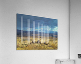 Storms Comin' Acrylic Print