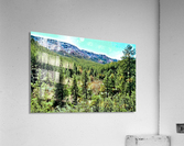 Senic  Acrylic Print