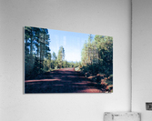A Road Through Acrylic Print