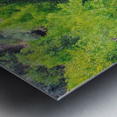 Pond Metal print