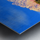 Such A View Metal print
