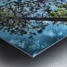 Tree Tops Metal print