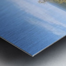 From the Forest Metal print