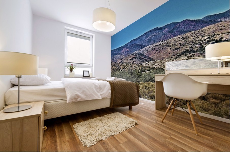 Jerome-1 Mural print