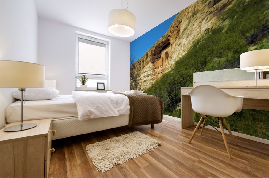 Montezuma's Castle  Mural print