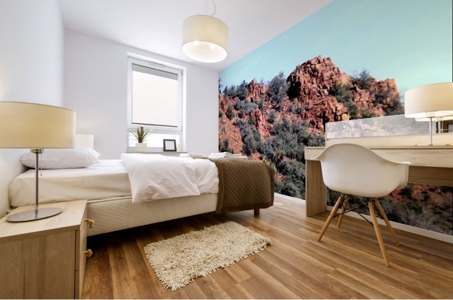Jerome-6 Mural print