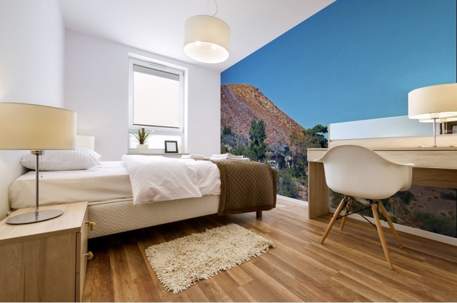 Jerome-4 Mural print