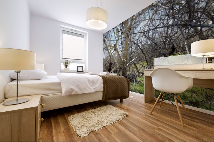 another narley old tree Mural print