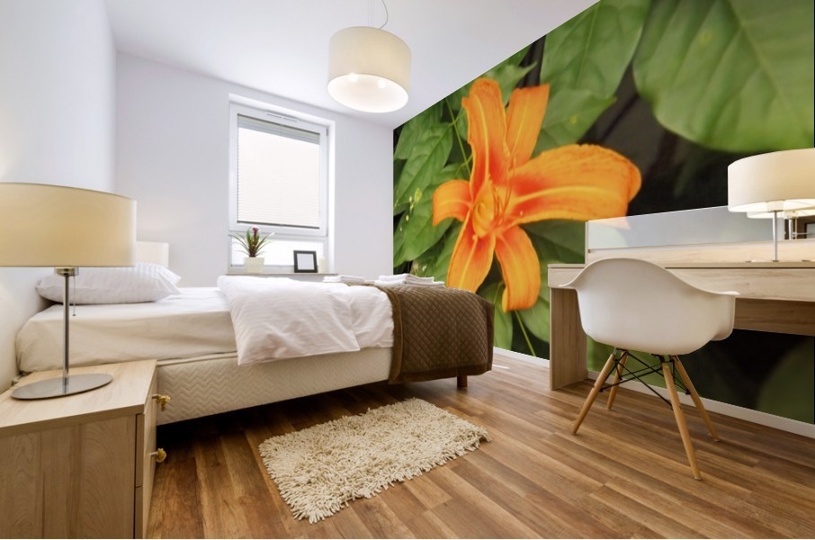 Orange Lilly 1 Mural print