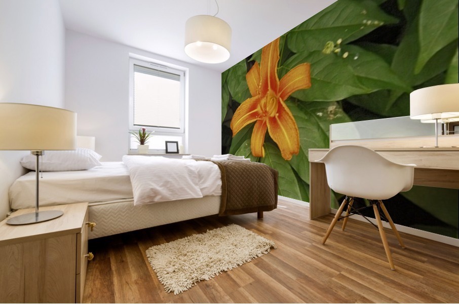 Orange Lilly Mural print