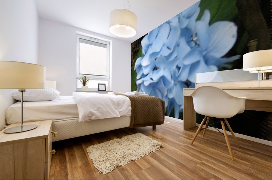 Hydrangea Mural print