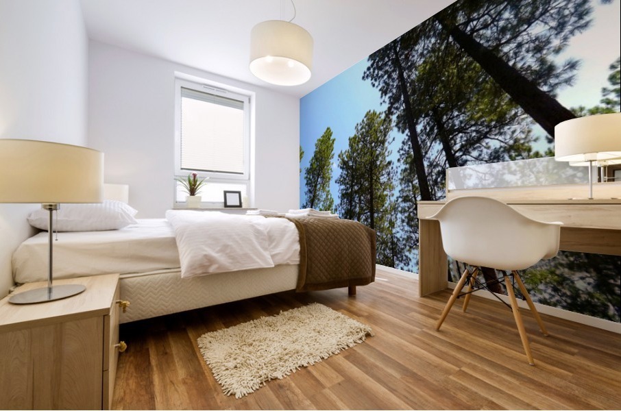 Blue Sky Mural print
