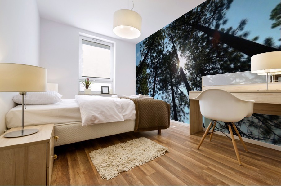 Look Up Mural print