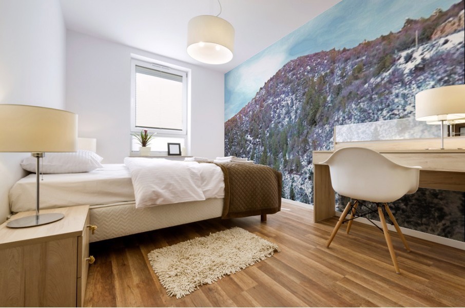 Melting Snow Mural print