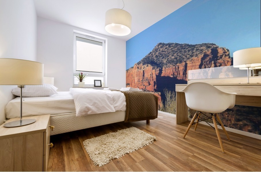 More Red Rocks Mural print