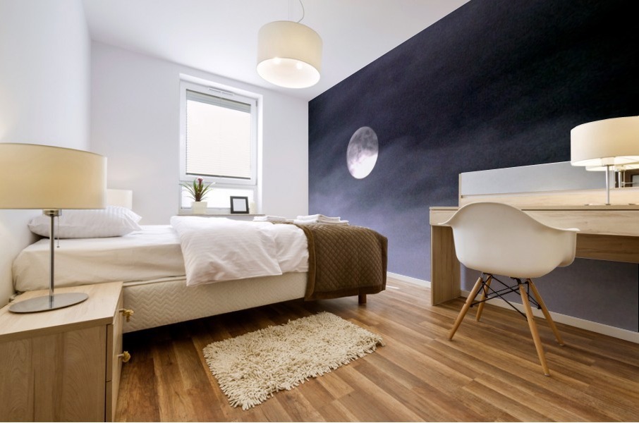 Full Moon Mural print