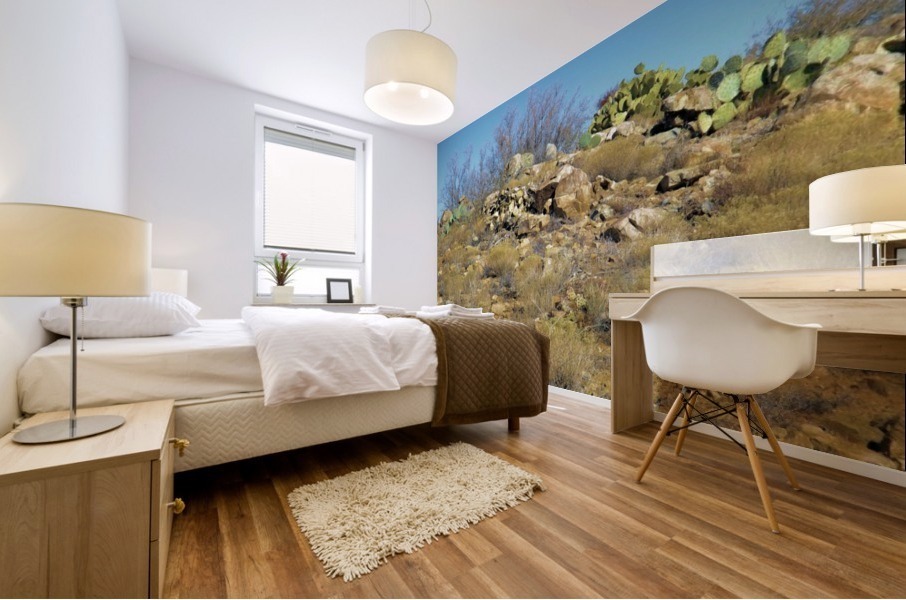 Rock n Cactus Mural print