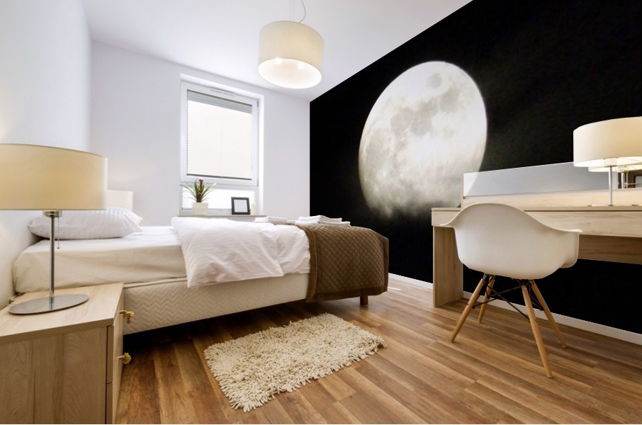 Shine On Mural print
