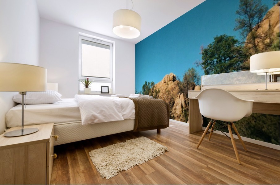 A Rock Hill Mural print