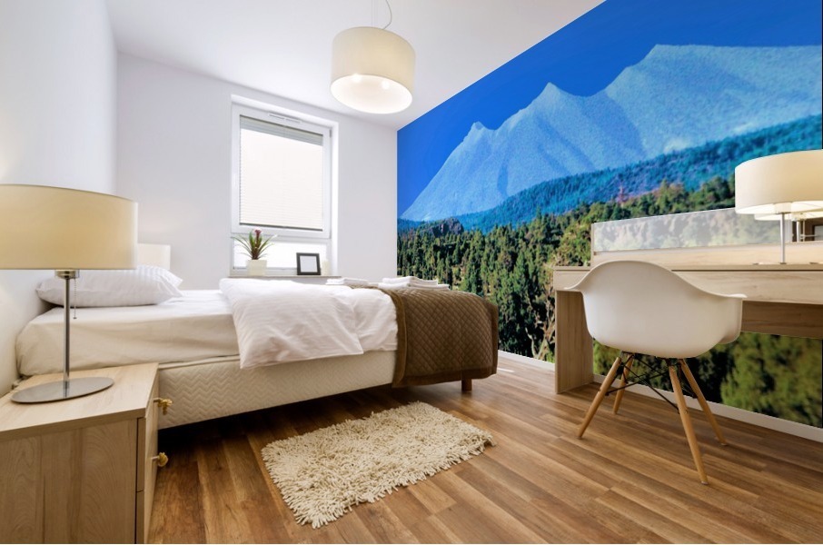 Something Different Mural print